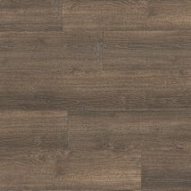 Highland Elm