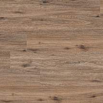 Hidden Hickory