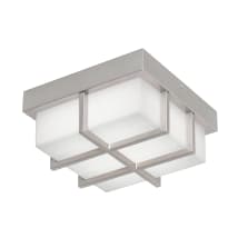 Painted Nickel / White
