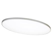 Satin Nickel / White