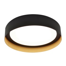 Black / Gold