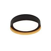 Black / Gold / White