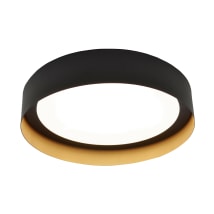 Black / Gold