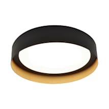 Black / Gold / White
