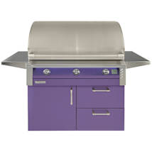 Blue Lilac