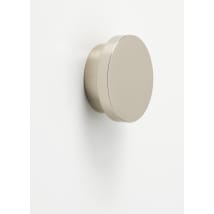Polished Nickel