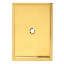 Unlacquered Brass