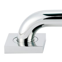 Polished Chrome
