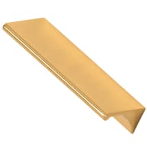 Unlacquered Brass