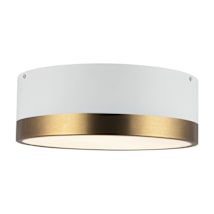 Aged Gold / White