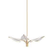 Natural Brass