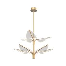 Natural Brass