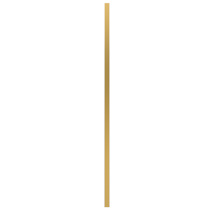 Satin Brass