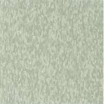 Dusty Miller