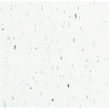 Polar White