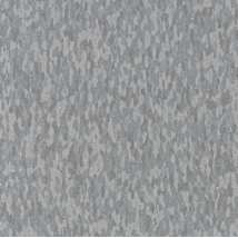 Fossil Gray
