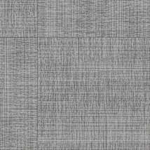 Silver Gray