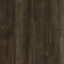 Wellfleet Bark