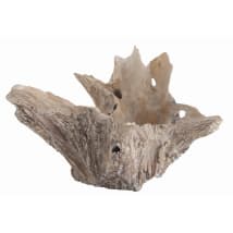 Driftwood