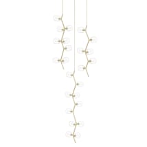 Brushed Brass / Clear Glass