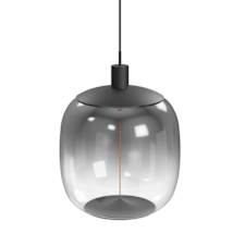 Black / Smoky Glass