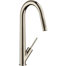 Polished Nickel