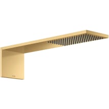 Brushed Gold Optic