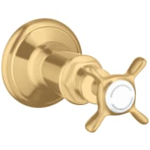 Brushed Gold Optic
