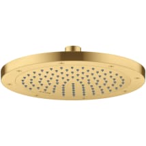 Brushed Gold Optic