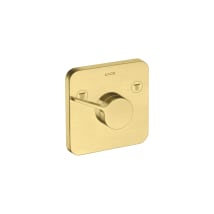 Brushed Gold Optic