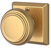 Lifetime Satin Brass