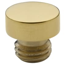 Lifetime Polished Brass