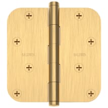 Lifetime Satin Brass