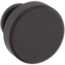 Venetian Bronze