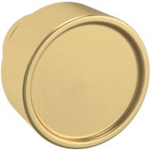 Lifetime Satin Brass