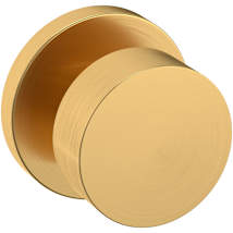 Lifetime Satin Brass