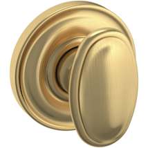 Lifetime Satin Brass
