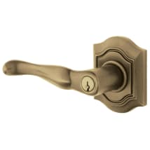 Satin Brass and Black