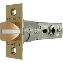 Lifetime Satin Brass