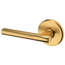 Lifetime Satin Brass