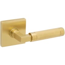 Lifetime Satin Brass