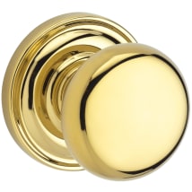Lifetime Polished Brass