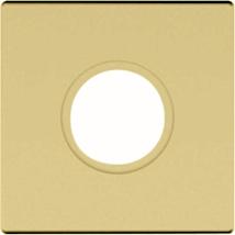 Non-Lacquered Brass