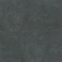 Coal