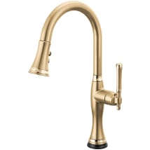 Luxe Gold / Polished Gold