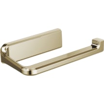 Brilliance Polished Nickel