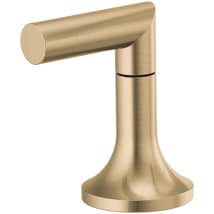 Luxe Gold