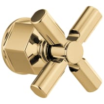 Polished Gold