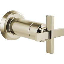 Brilliance Polished Nickel