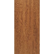 Gunstock